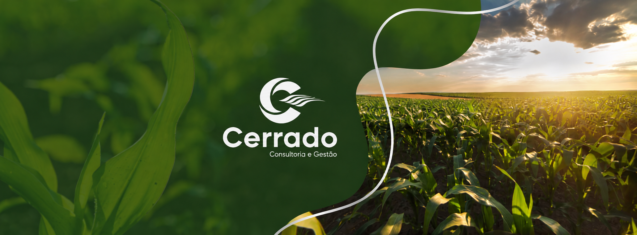 Identidade da Cerrado Consultoria e Gestão sobre uma lavoura de milho ao pôr do sol